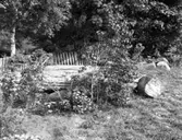 Gånggrifter gläshäll el. Kung Björns grift.