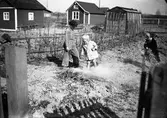 Reportage för rbetarbladet. Koloniträdgården. Maj 1939