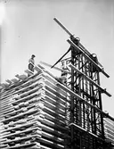 Brädgården på Skutskär sågverk