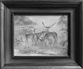 Tavla av Mattias Grundell

