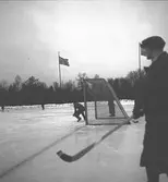 Bandylandskamp Sverige - Norge på Strömvallen.  Reportage för Gefle Dagblad