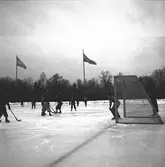 Bandylandskamp Sverige - Norge på Strömvallen.  Reportage för Gefle Dagblad