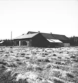 Lantbruksreportage för Norrlands-Posten.
