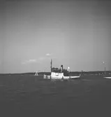 År 1938. Norrlandsregattan. Segeltävling. Reportage för Gefle Dagblad.
