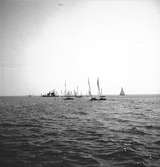 År 1938. Norrlandsregattan. Segelbåt. Reportage för Gefle Dagblad.