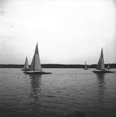 År 1938. Norrlandsregattan. Segelbåt. Reportage för Gefle Dagblad.