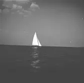 År 1938. Norrlandsregattan. Segelbåt. Reportage för Gefle Dagblad.