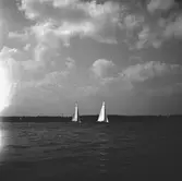 År 1938. Norrlandsregattan. Segelbåt. Reportage för Gefle Dagblad.