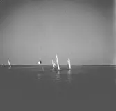 År 1938. Norrlandsregattan. Segelbåt. Reportage för Gefle Dagblad.