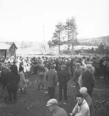 Riksmästerskapet i orientering 1935