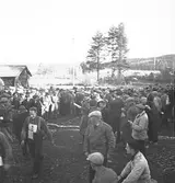 Riksmästerskapet i orientering 1935