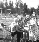 Den 23 juli 1938. Barnutflykt till Furuvik. Reportage för Gefle-Posten

