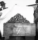 April 1938. Gefle Kolimport