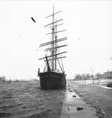 Mars 1938. Stormfällning. Reportage för Gefle Dagblad. Briggen Gerda