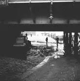 Mars 1938. Stormfällning. Reportage för Gefle Dagblad
