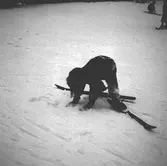 Vinter 1937. Skidkurs för barn. Reportage för Gefle Dagblad
