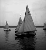 År 1938. Norrlandsregattan. Reportage för Gefle Dagblad