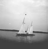 År 1938. Norrlandsregattan. Reportage för Gefle Dagblad