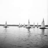 År 1938. Norrlandsregattan. Reportage för Gefle Dagblad