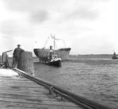 Gävle Varv. Stapelavlöpning. 8 januari 1957. Gävle Varv anlades 1873. Efter en konkurs 1921 bildades Gefle Varfvs och Verkstads Nya AB, som tillverkade oljecisterner och utrustningar till pappersmassefabriker. På 1940-talet återupptogs skeppsbyggeriet. På 1950-talet, då Korsnäs AB ägde varvet byggdes flera högsjöfartyg. I början av 1960-talet byggde varvet den ponton som regalskeppet Wasa skulle placeras på vid bärjningen.





