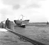 Gävle Varv. Stapelavlöpning. 8 januari 1957. Gävle Varv anlades 1873. Efter en konkurs 1921 bildades Gefle Varfvs och Verkstads Nya AB, som tillverkade oljecisterner och utrustningar till pappersmassefabriker. På 1940-talet återupptogs skeppsbyggeriet. På 1950-talet, då Korsnäs AB ägde varvet byggdes flera högsjöfartyg. I början av 1960-talet byggde varvet den ponton som regalskeppet Wasa skulle placeras på vid bärjningen.





