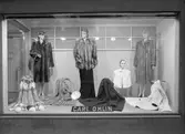 Pälsar i skyltfönster. Kösnär Carl Ohlin Pälsvaruaffär. Södra Kungsgatan 9, Gävle. 1945.
