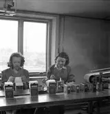 Paketering av kaffe. Juni 1945. Ericsson Ludvig & Co, Norra Skeppsbron 3, Gävle.