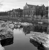 Vårreportage för Arbetarbladet. 19 februari 1949.