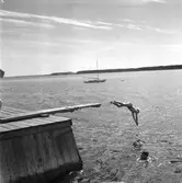 KFUM:s sommarhem, Kvistrum, Aludden 31. år 1949. Kristliga Föreningen av Unga Män. Föreningen bildades i Sverige 1884. Reportage för Gefle Dagblad.