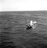 Fartyget Stellas haveri utanför Slangrevet. Flygbilder. 2 mars 1949.