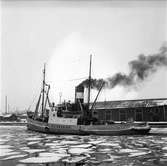 Bärgningsfartyget Poseidon. 2 mars 1949.