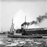 Bärgningsfartyget Poseidon. 2 mars 1949.