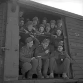 I 14 hem från manöver. 7 mars 1949.