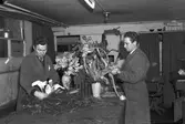 Blomsterbindare. 18 mars 1949. Reportage för Norrlands-Posten.