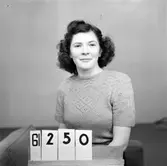 Telegrafverkets legitimationskort. År 1949.              (Inget namn angivit på fotopåsen).