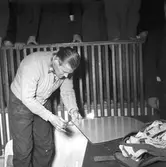 Hantverkstävlingarna på Rotundan Folket Park. 27 mars 1949.