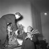 Sveriges Socialdemokratiska Ungdomsförbund. S.S.U:s 30 års-jubileum på Folkets Hus. 2 april 1949. Reportage för Arbetarbladet.