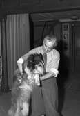 Bertel Larsson med hunden, 2 oktober 1950.