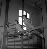 Seminariet interiör efter renoveringen. 6 maj 1949.
(Förre detta Dövstumskolan).
