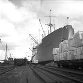 Fartyget Oklahoma förankrat vid Korsnäs. 10 maj 1949.
