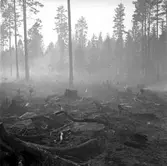 Brand i Forsbacka. Maj 1949.
