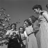 Husmoderns reportage från seminariet, blomsterkurs.   16 maj 1949.