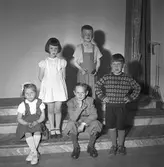 Barn som ska få tillbringa sommaren på Rörbergs koloni. Reportage för Norrlands-Posten. 19 - 20 maj 1949. Beställt av Melin.