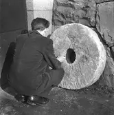 Uppgrävd kvarnsten. Reportage för Gefle Dagblad.       18 maj 1949.