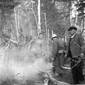 Skogsbrand Älvkarleby, Gårdskär med flera orter.       Maj 1949.