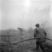 Skogsbrand Älvkarleby, Gårdskär med flera orter.       Maj 1949.