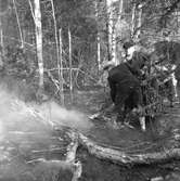 Skogsbrand Älvkarleby, Gårdskär med flera orter.       Maj 1949.