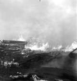 Skogsbrand Älvkarleby, Gårdskär med flera orter.       Maj 1949.