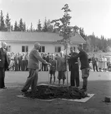 Trädplantering vid Kratte Masugn.