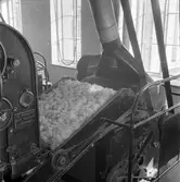 Gävle Manufaktur AB, Strömsbro. Juni 1946. På fabriken jobbade många ogifta textilarbeterskor, Några av dem bodde i den så kallade flickbyggningen. Gefle Manufaktur AB ägde Svanens väv i Strömsbro, som länge var den största fabriken i landet för tillverkning av bomullstyger och garn. Fabriken startade år 1849. Men det blev andra tider med krig, konflikter och sämre konjunkturer, då gick det sämre även för Svanens väv som tvingades lägga ned år 1960.
